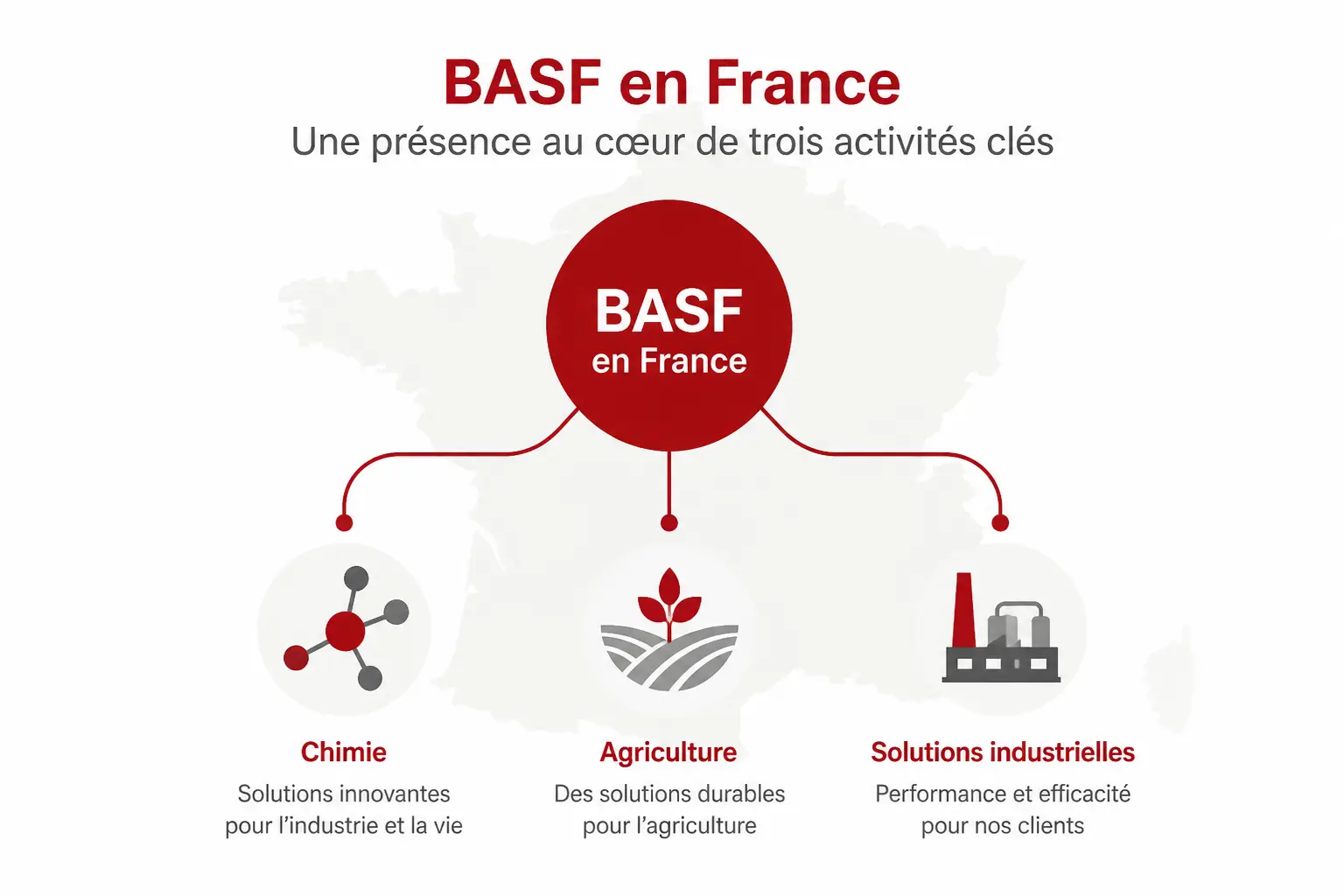 Le groupe BASF et les divisions visibles sur le marché français